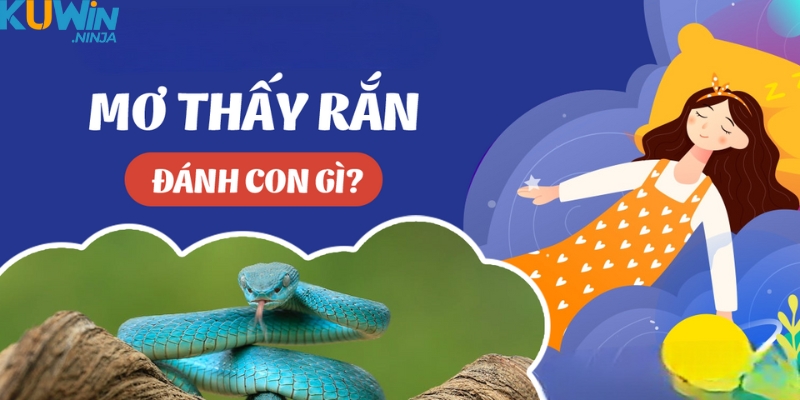 Mơ thấy rắn đánh gì